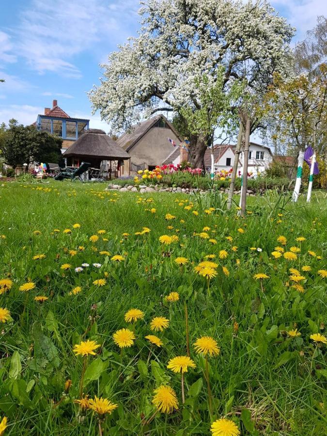 Hering Fewo I Apartment Terrace Wiek auf Rügen Eksteriør billede