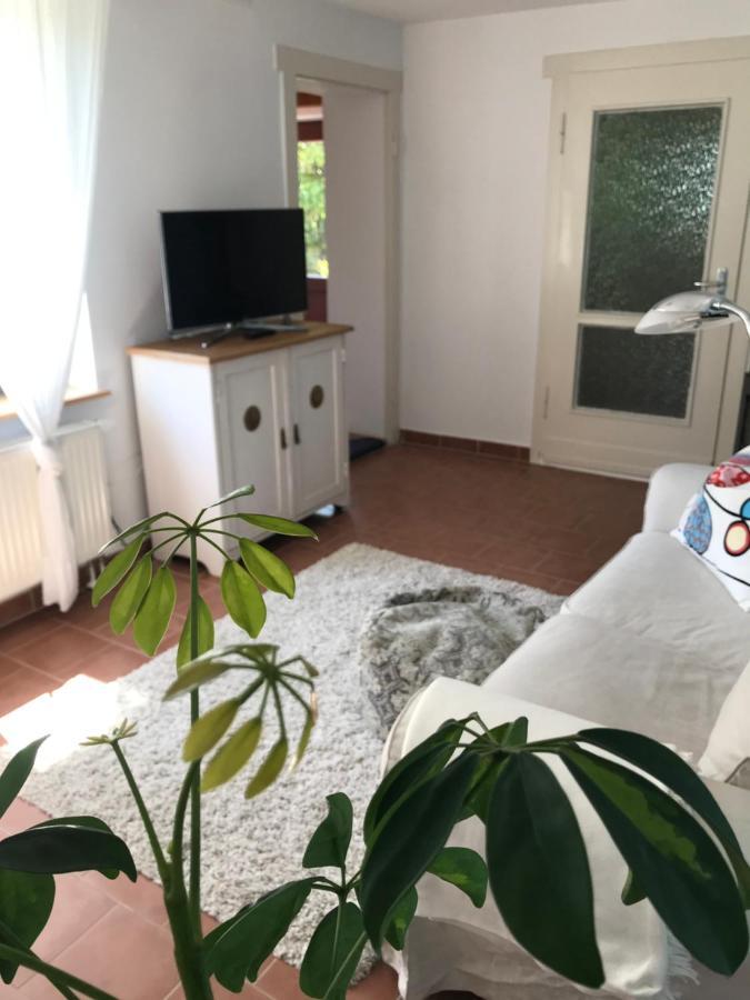 Hering Fewo I Apartment Terrace Wiek auf Rügen Eksteriør billede
