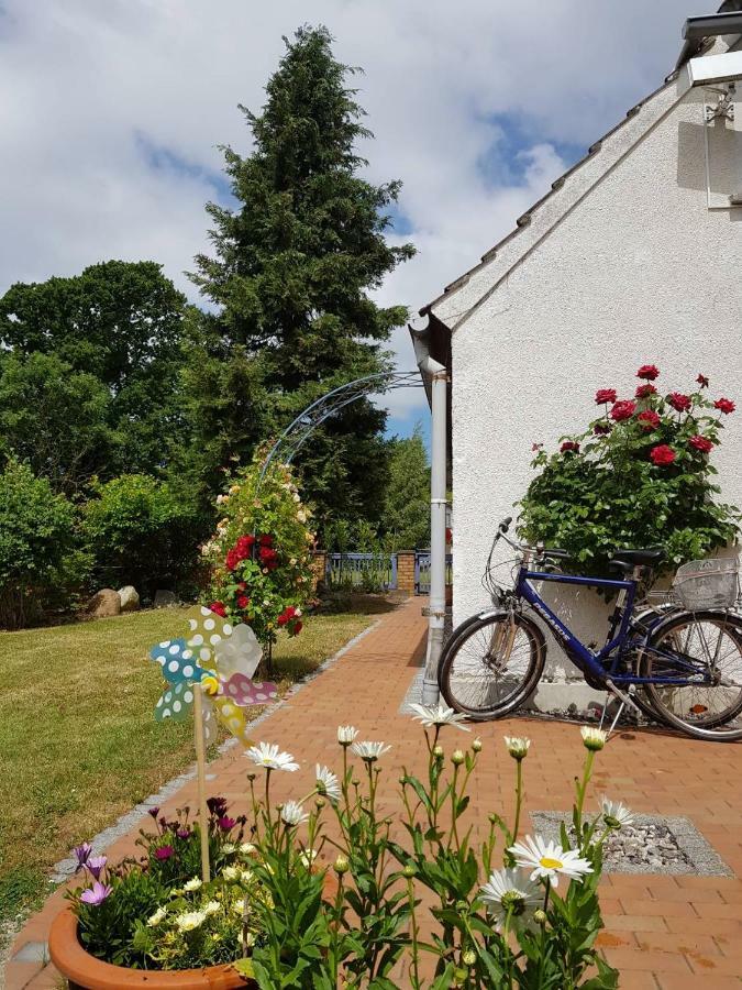 Hering Fewo I Apartment Terrace Wiek auf Rügen Eksteriør billede
