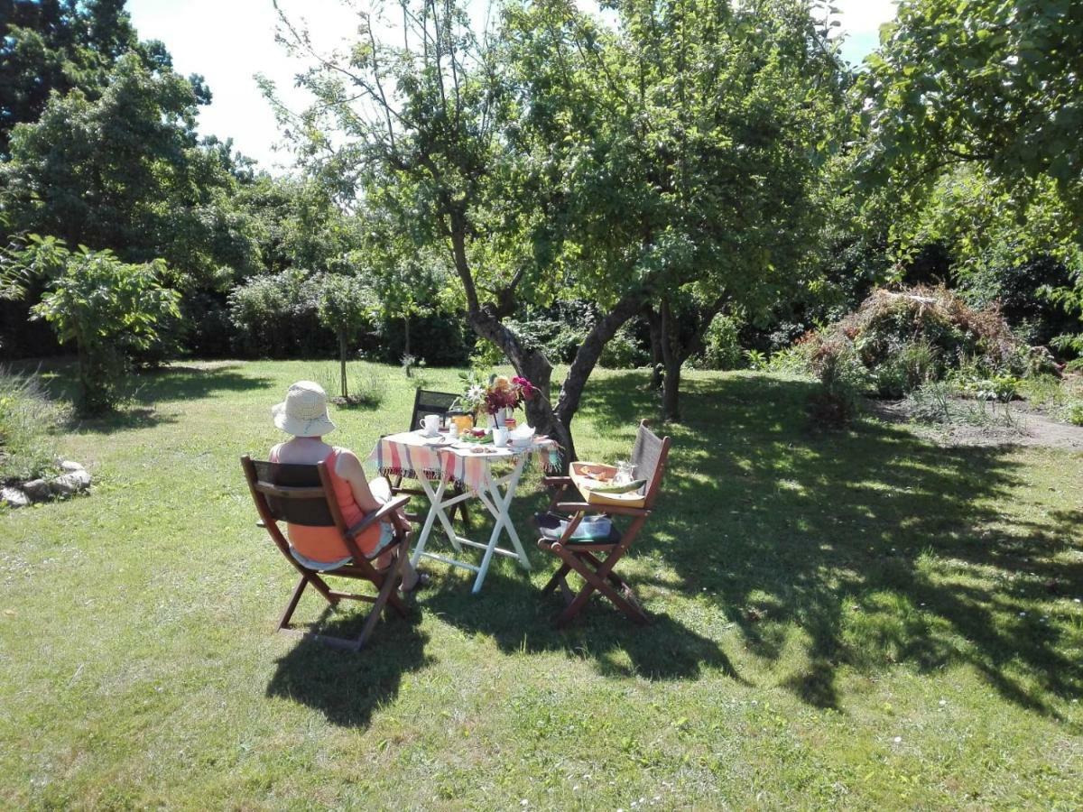 Hering Fewo I Apartment Terrace Wiek auf Rügen Eksteriør billede