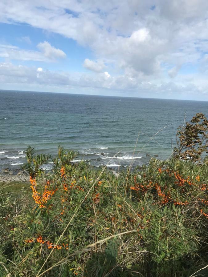 Hering Fewo I Apartment Terrace Wiek auf Rügen Eksteriør billede